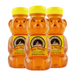 Star Thistle Honey Bear 12 oz. - Case of 12