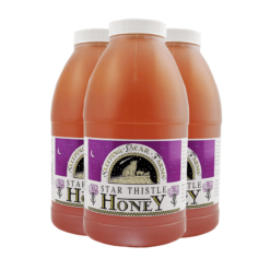 Star Thistle Honey Jug 3 lb. - Case of 6