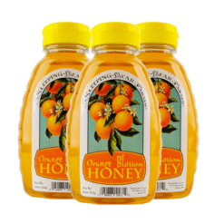 Orange Blossom Honey 16oz. Bottle - Case of 12