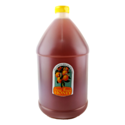Orange Blossom Honey - 1 Gallon Jug
